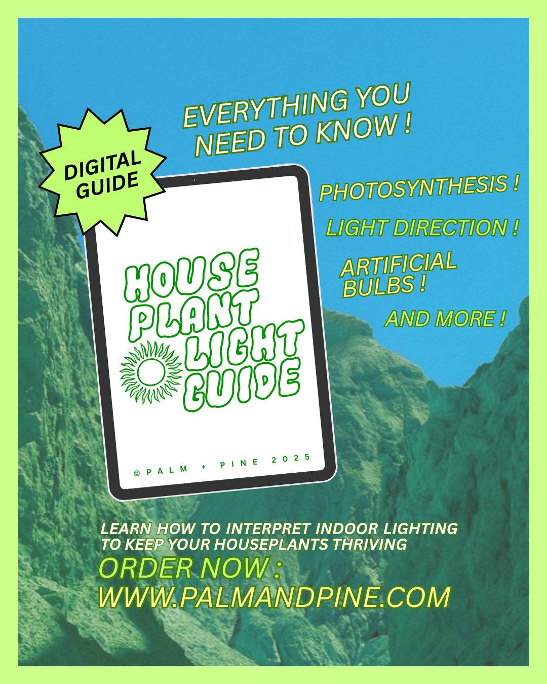 Houseplant Light Guide