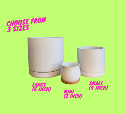 VALENTINE'S GIFT BOX