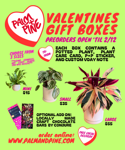 VALENTINE'S GIFT BOX