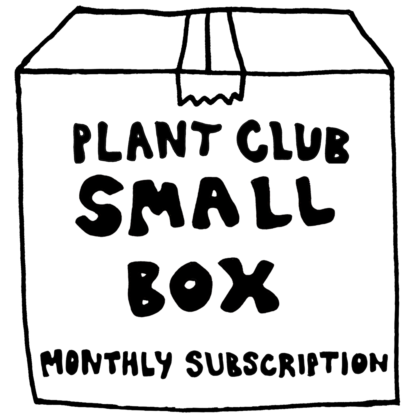 PLANT CLUB - SMALL BOX