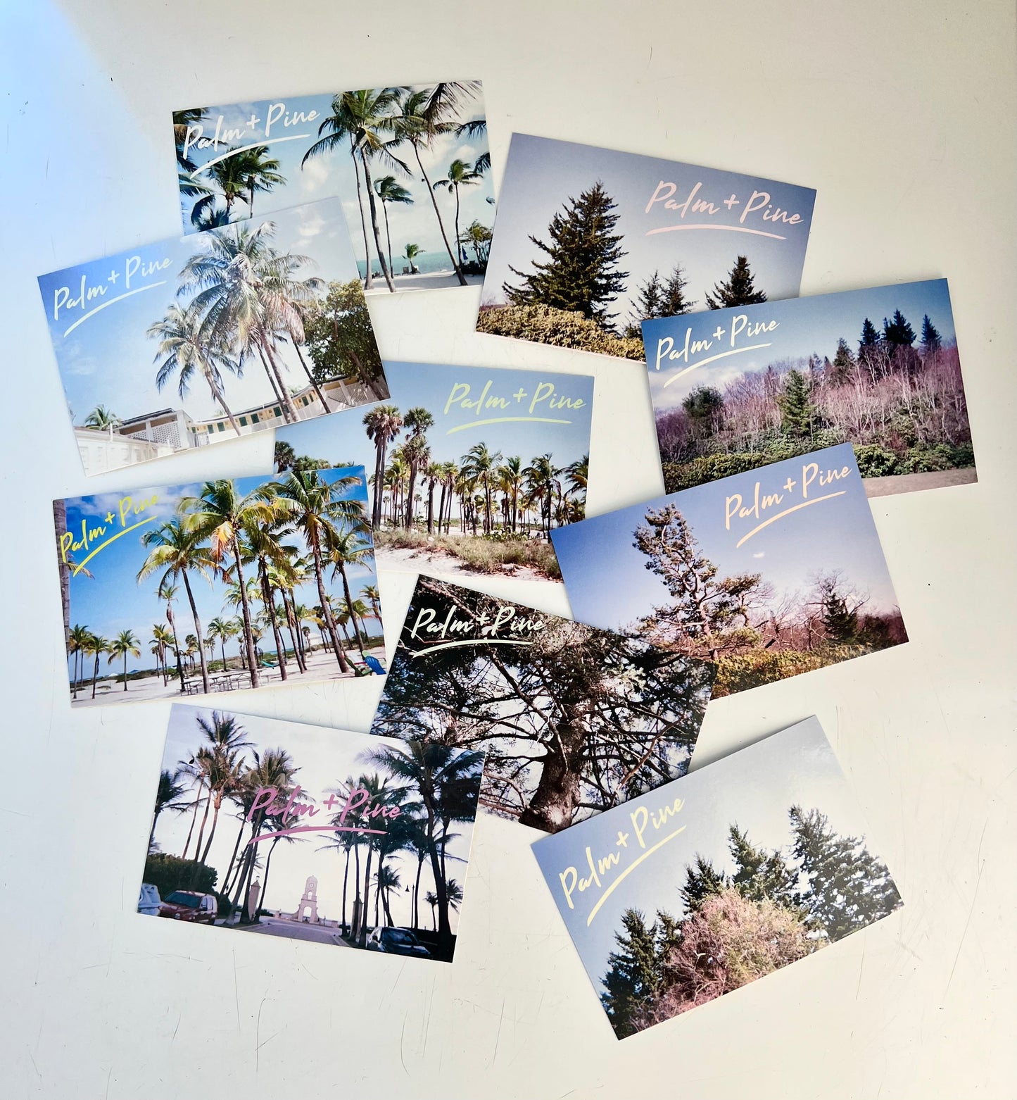 "PALM" AND "PINE" POSTCARDS